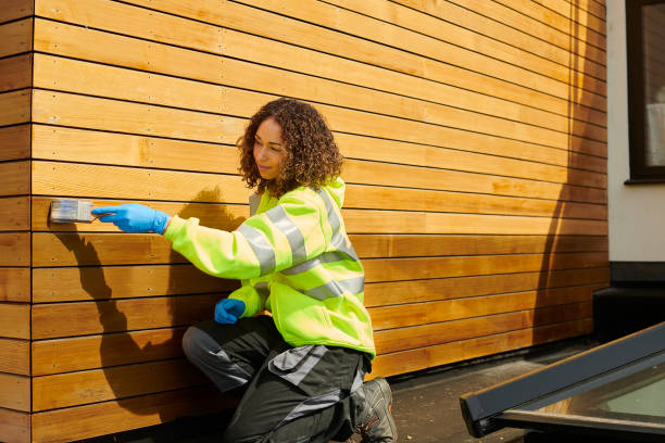 Best Custom Siding Design  in Delisle, MS