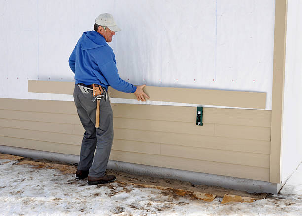 Best Brick Veneer Siding  in Delisle, MS